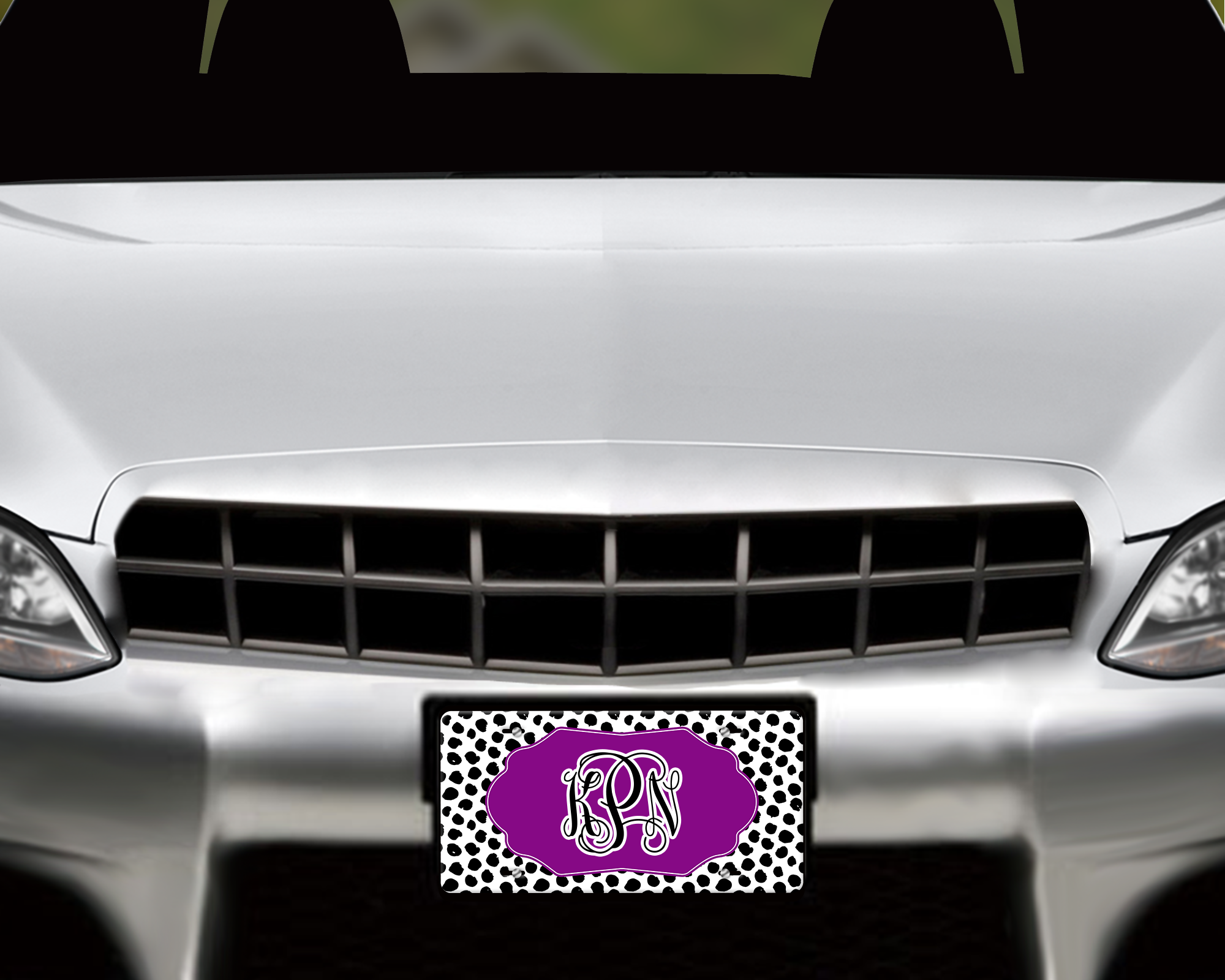 Spotted Color Pop Car Tag